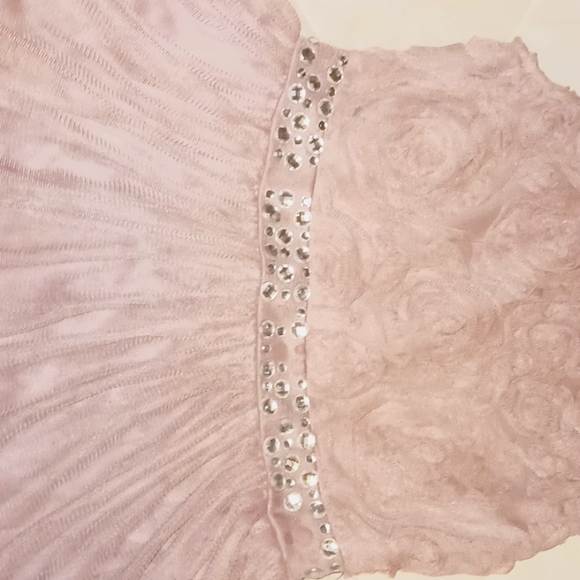 I am selling a rose pink dress. The size is a 12 - Picture 2 of 4
